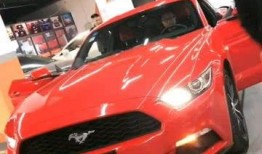 追逐野马在线观看,在线见证野马狂奔的惊心动魄